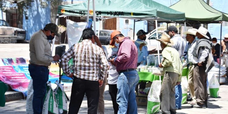 IMPULSA AYUNTAMIENTO DE HUAMANTLA EL CONSUMO LOCAL A TRAVÉS DEL TIANGUIS “MIS SEMILLAS HUAMANTLECAS”