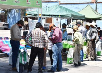 CON EL TIANGUIS DE SEMILLA SE PROMUEVE Y APOYA LA PRODUCCIÓN AGRÍCOLA LOCAL: SALVADOR SANTOS CEDILLO