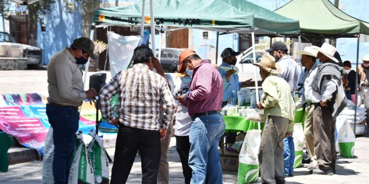 CON EL TIANGUIS DE SEMILLA SE PROMUEVE Y APOYA LA PRODUCCIÓN AGRÍCOLA LOCAL: SALVADOR SANTOS CEDILLO