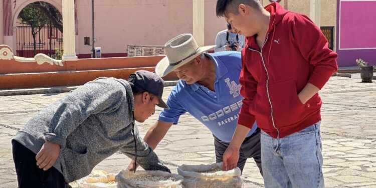 ESTE VIERNES ES DÍA DE TIANGUIS AGROPECUARIO EN LA PLAZUELA DE SANTA CRUZ