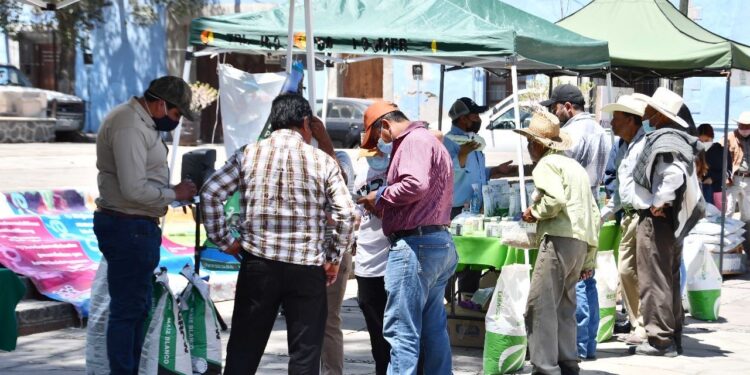 INFORMA AYUNTAMIENTO DE HUAMANTLA CAMBIO DE SEDE DEL TIANGUIS AGROPECUARIO “MIS SEMILLAS HUAMANTLECAS”