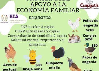 Invita ayuntamiento de Cuapixtla adquirir aves de postura.