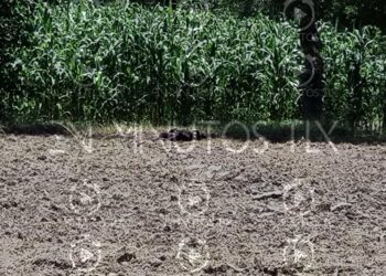 Ubican calcinada a una persona en terrenos de labor, en Zacatelco