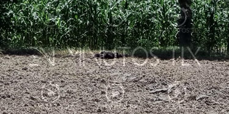 Ubican calcinada a una persona en terrenos de labor, en Zacatelco