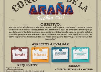 Participa en el “Concurso de la araña” en Tocatlán.
