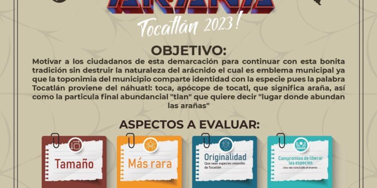 Participa en el “Concurso de la araña” en Tocatlán.