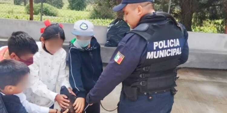 IMPULSA LA DIRECCIÓN DE SEGURIDAD PÚBLICA DE HUAMANTLA EL PROGRAMA “POLICÍA TU AMIGO” EN ESCUELAS DEL MUNICIPIO