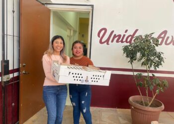 Cuapiaxtla | Entrega ayuntamiento de Cuapiaxtla y SIA aves de traspatio.