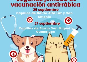 Cuapiaxtla | Invita a la segunda jornada de vacunación antirrabica en Cuapiaxtla.
