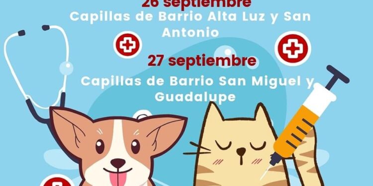 Cuapiaxtla | Invita a la segunda jornada de vacunación antirrabica en Cuapiaxtla.
