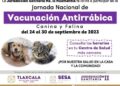 Tocatlán | Invita ayuntamiento de Tocatlán a Jornada Nacional Antirrabica.