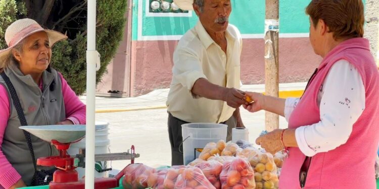 INICIA SEPTIEMBRE CON UNA EDICIÓN MÁS DEL TIANGUIS “MIS SEMILLAS HUAMANTLECAS”
