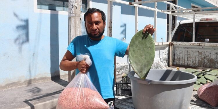 Tequexquitla – Presentan avances de “Autosuficiencia alimentaria”.