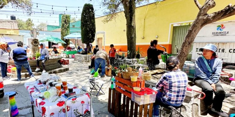 INVITA AYUNTAMIENTO DE HUAMANTLA A CONSUMIR A PRODUCTOS LOCALES EN TIANGUIS DE SEMILLAS