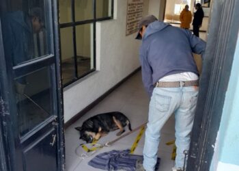 UNIDAD CANINA DE HUAMANTLA BRINDA APOYO EN EL TRASLADO DE UN ANIMAL ENFERMO