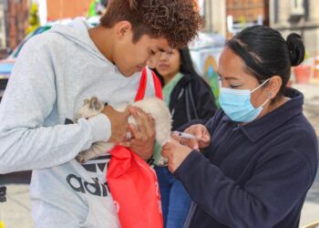 EL AYUNTAMIENTO DE HUAMANTLA Y LA SESA TLAXCALA INVITAN A LA JORNADA DE VACUNACIÓN ANTIRRÁBICA