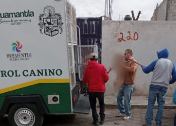 PRESENTA AYUNTAMIENTO DE HUAMANTLA DENUNCIA ANTE LA PROPAET POR MALTRATO ANIMAL