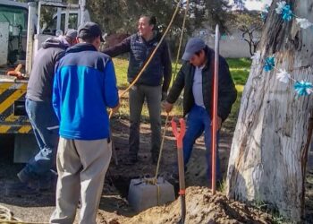 INICIA AYUNTAMIENTO DE HUAMANTLA COLOCACIÓN DE LUMINARIAS EN CAMINO A CHAPULTEPEC