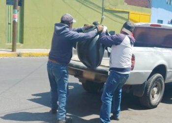 GOBIERNO MUNICIPAL DE HUAMANTLA INTERPONE DENUNCIA ANTE LA PROPAET POR ENVENENAMIENTO A PERROS EN SITUACIÓN DE CALLE