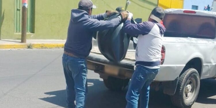 GOBIERNO MUNICIPAL DE HUAMANTLA INTERPONE DENUNCIA ANTE LA PROPAET POR ENVENENAMIENTO A PERROS EN SITUACIÓN DE CALLE