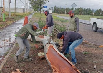 ATIENDEN ÁREAS DEL AYUNTAMIENTO DE HUAMANTLA AFECTACIONES POR LLUVIAS MODERADAS