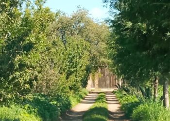 DETIENE POLICÍA DE HUAMANTLA A TRES SUJETOS POR INTENTO DE ROBO A CASA HABITACIÓN