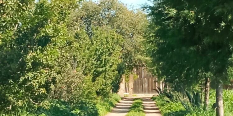 DETIENE POLICÍA DE HUAMANTLA A TRES SUJETOS POR INTENTO DE ROBO A CASA HABITACIÓN