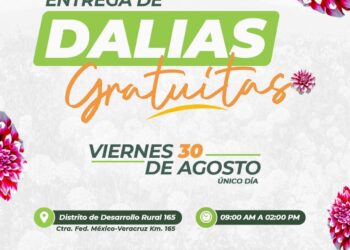 ENTREGARÁ PLANTAS DE DALIA AYUNTAMIENTO DE HUAMANTLA