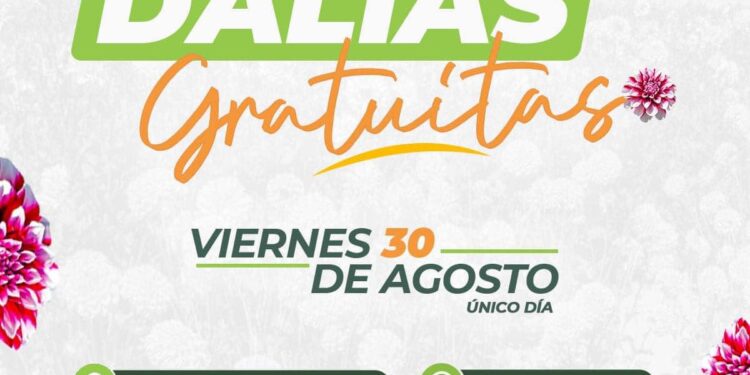 ENTREGARÁ PLANTAS DE DALIA AYUNTAMIENTO DE HUAMANTLA