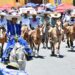 INICIA ACTIVIDADES DE LA FERIA DE HUAMANTLA 2024 CON LA GRAN CARRERA DE BURROS