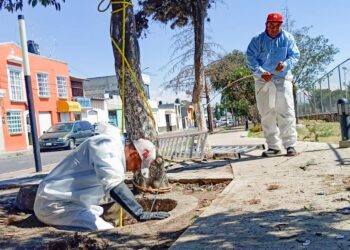 TRABAJA CAPAMH EN LA RECUPERACIÓN DE DRENAJE Y LIMPIEZA EN EL BULEVAR CUAMANCO