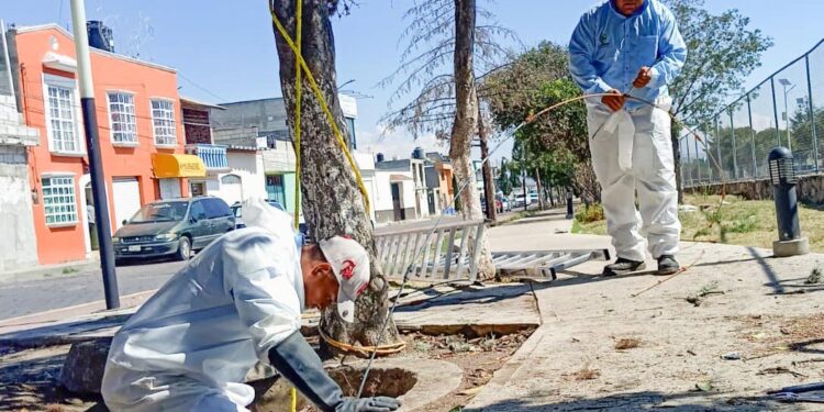 TRABAJA CAPAMH EN LA RECUPERACIÓN DE DRENAJE Y LIMPIEZA EN EL BULEVAR CUAMANCO