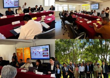 Destacada participación de la Ing. Tania Díaz, directora de CAPAMH, en encuentro tecnológico con empresarios japoneses