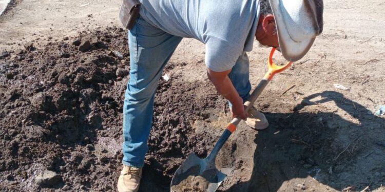 CAPAMH da seguimiento puntual a los reportes ciudadanos del día