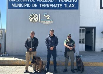 Refuerza el Gobierno municipal Seguridad y Proximidad Social con Binomios K9.