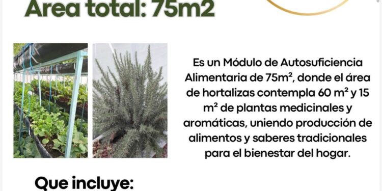 ¡IMPULSAMOS TU ECONOMÍA Y ASEGURAMOS TU ALIMENTACIÓN!: AYUNTAMIENTO TERRENATE.