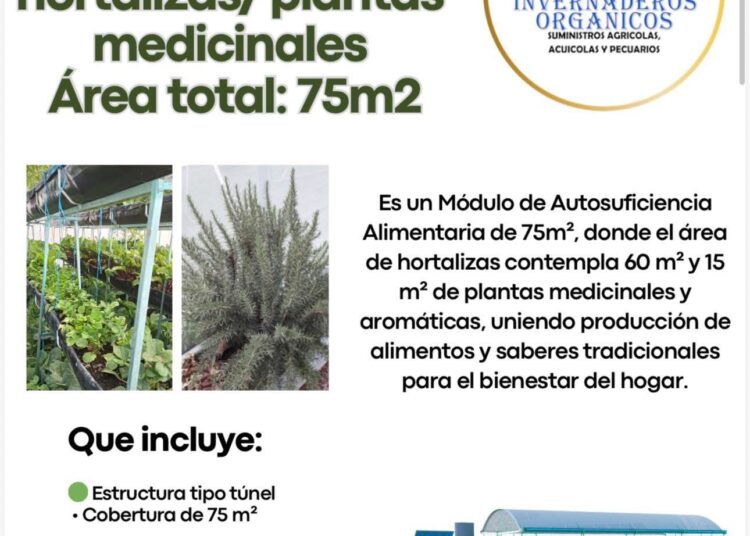 ¡IMPULSAMOS TU ECONOMÍA Y ASEGURAMOS TU ALIMENTACIÓN!: AYUNTAMIENTO TERRENATE.