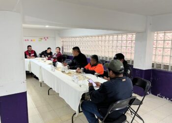 Participa Terrenate en mesa de Trabajo Interinstitucional e Interestatal por la Seguridad Pública.