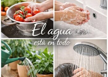 El agua es vida