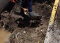 ATIENDE GOBIERNO DE HUAMANTLA AFECTACIONES TRAS LAS INTENSAS LLUVIAS; REFUERZA ACCIONES PREVENTIVAS