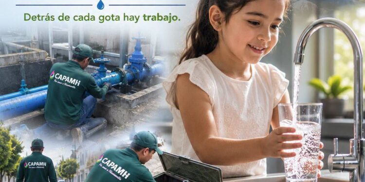 El camino del agua