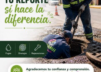 Cada reporte que recibimos representa una necesidad de la ciudadanía y es atendido con responsabilidad por nuestro equipo.